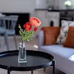 Super Central New Apartment With Air Conditioning